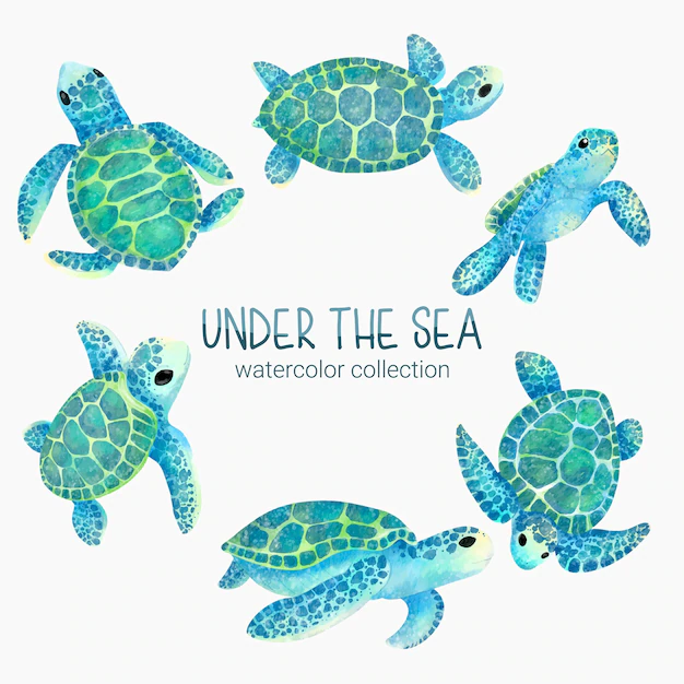 Free Vector | Marine life cute element animal life in under sea underwater animal creature and turtle