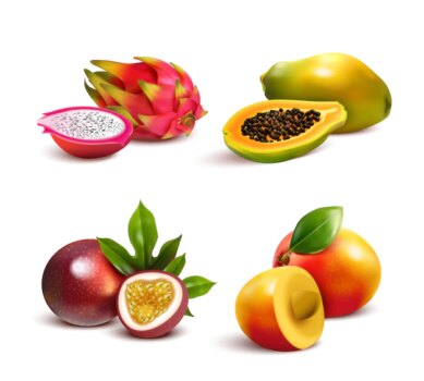 Free Vector | Mature tropical fruits set