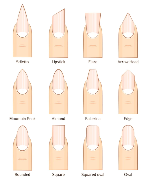 Free Vector | Nail shape line icons.