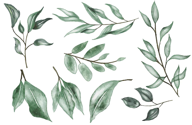 Free Vector | Nature leafs bundle