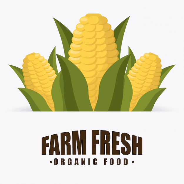 Free Vector | Organic food