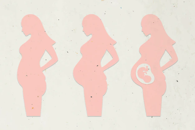 Free Vector | Paper craft pregnant woman character set vector