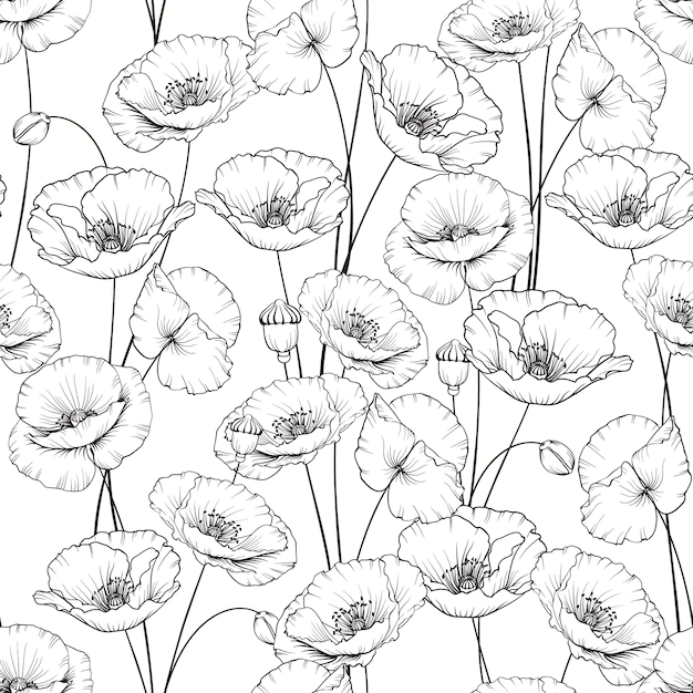 Free Vector | Pattern of poppy flowers on a white background vector illustration
