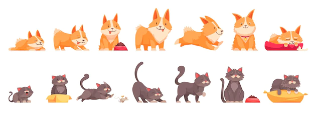 Free Vector | Pets growth stages set of isolated icons cartoon characters of cat and dog at different age vector illustration
