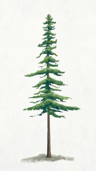 Free Vector | Pine tree element graphic  on plain background