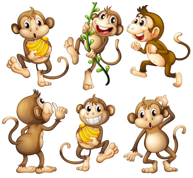 Free Vector | Playful wild monkeys