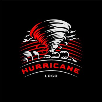 Free Vector | Professional hurricane logo template