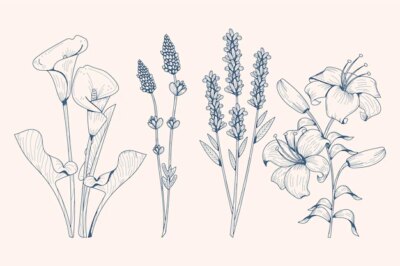 Free Vector | Realistic hand drawn herbs & wild flowers