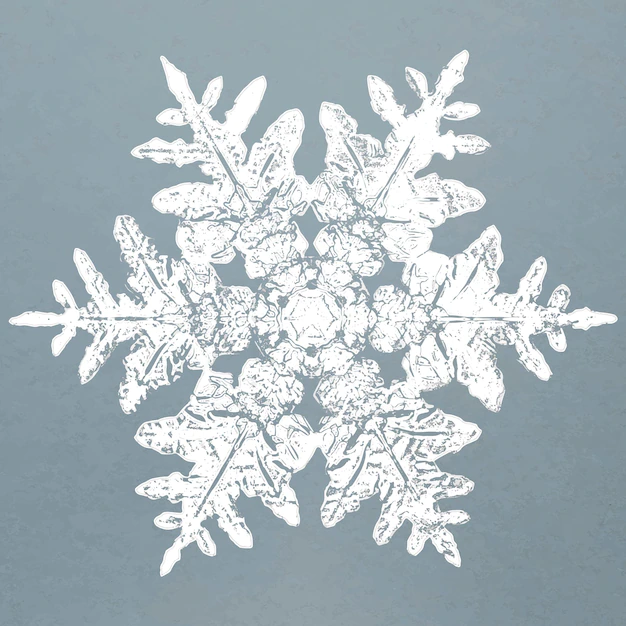 Free Vector | Realistic snowflakes element vector in blue background