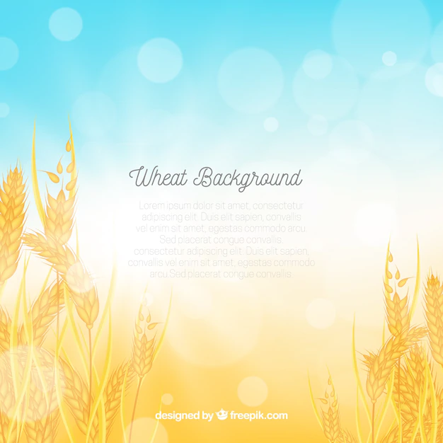 Free Vector | Realistic wheat background