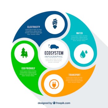 Free Vector | Round infographic ecosystem concept