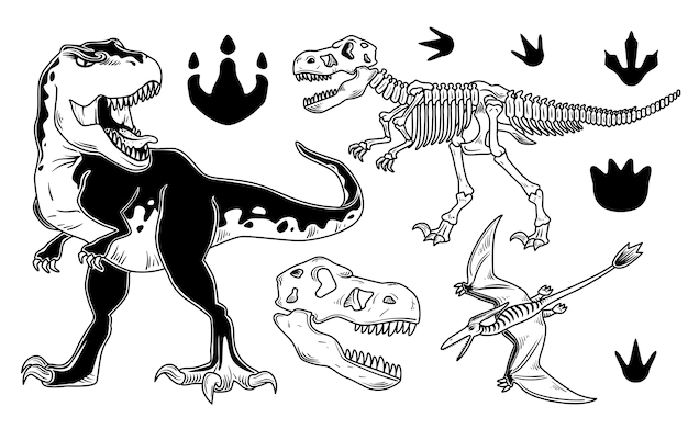 Free Vector | Set of dinosaurs