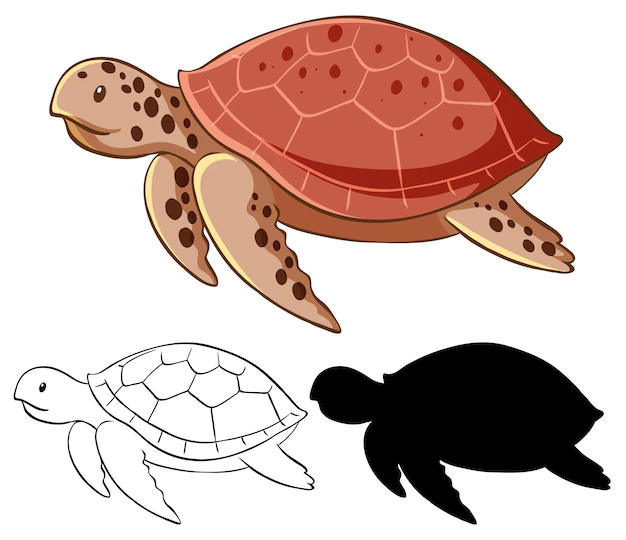 Free Vector | Set of turtle cartoon