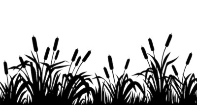 Free Vector | Silhouette marsh reeds cattail bulrush grass isolated border of swamp plants