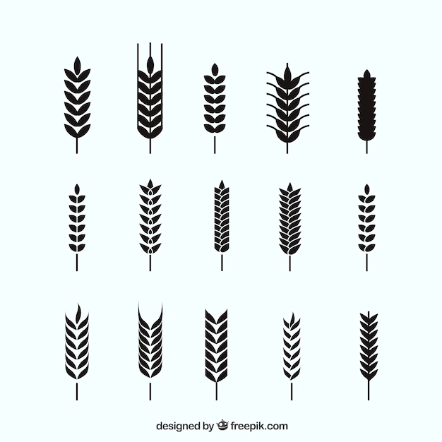 Free Vector | Silhouette wheat collection