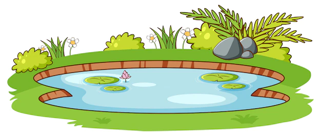 Free Vector | Small pond with green grass on white background