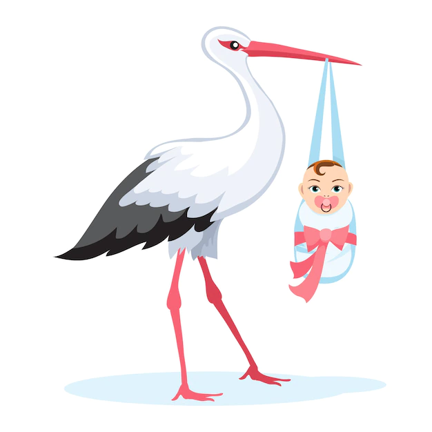 Free Vector | Stork carrying in baby in bundle isolated on white.
