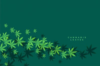 Free Vector | Stylish marijuana and cannbis floating leaves background