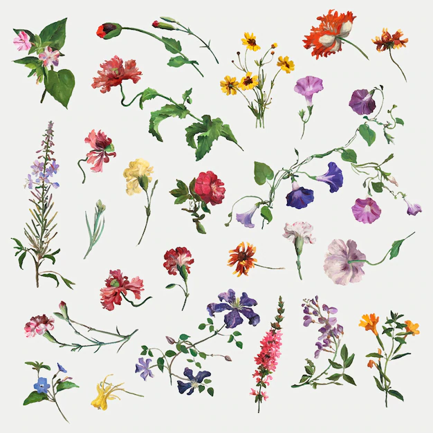Free Vector | Summer flower set illustration, remixed from artworks by jacques-laurent agasse