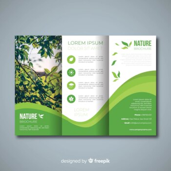 Free Vector | Trifold nature flyer with image