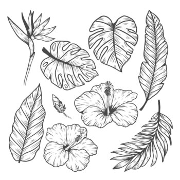 Free Vector | Tropical leaf and flower collection