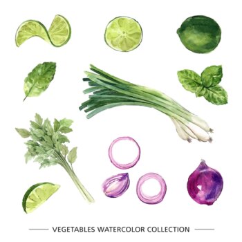 Free Vector | Various isolated watercolor vegetable illustration on white background for decorative use.