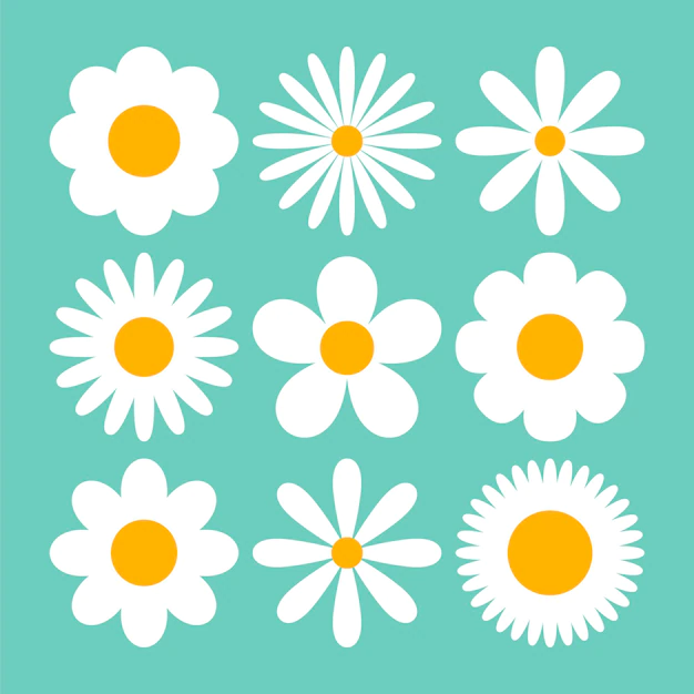 Free Vector | Various white daises on blue background cartoon illustration set. camomiles or chamomiles with different petals. seamless floral pattern. blossom, spring flowers, summer concept