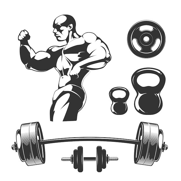 Free Vector | Vector elements for vintage fitness and gym labels. sport fitness gym, bodybuilding and dumbbell element, barbell for label illustration