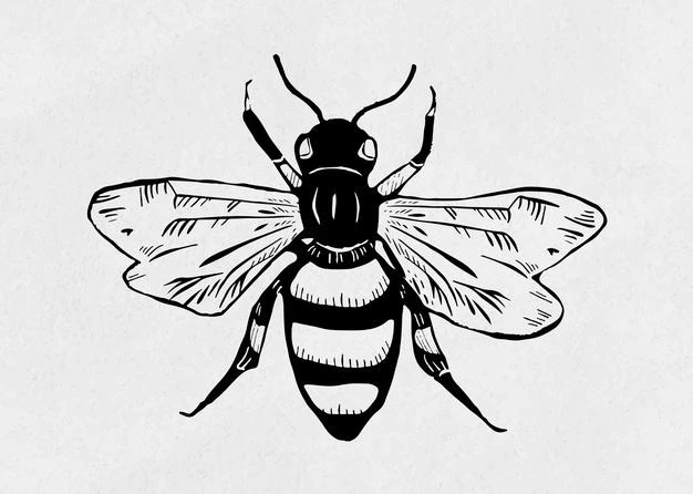 Free Vector | Vintage bee insect linocut stencil pattern clipart