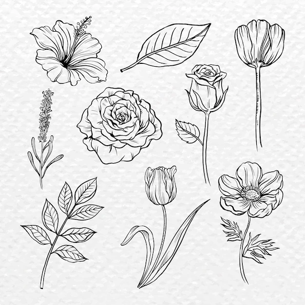 Free Vector | Vintage flower sticker, black botanical illustration vector set