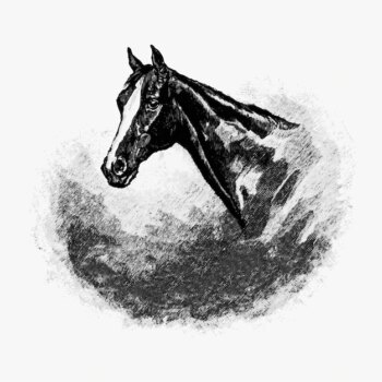 Free Vector | Vintage horse head illustration