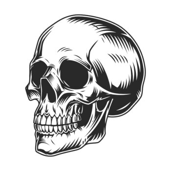 Free Vector | Vintage human skull monochrome concept