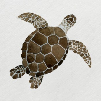 Free Vector | Watercolor painted sea turtle on white canvas