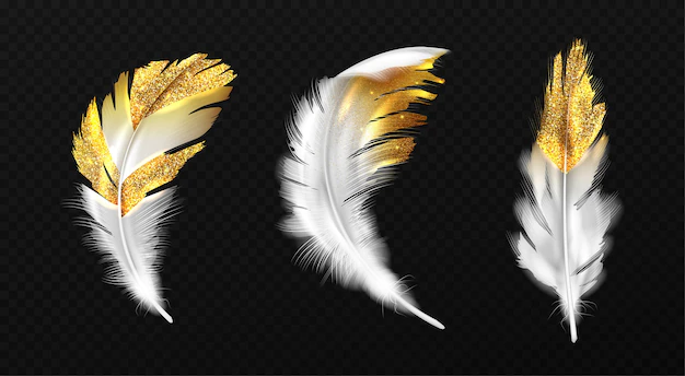 Free Vector | White feathers with gold glitter on edges
