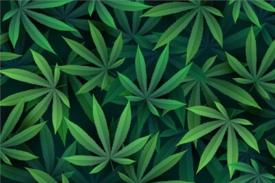 Free Vector | Realistic cannabis leaf background