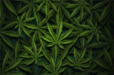 Free Vector | Realistic cannabis leaf background
