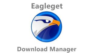 EagleGet 2.1.6.80 Crack with Serial Key Free Download 2022