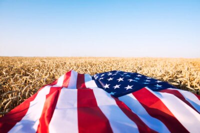 Free Photo | American flag in the wheat field representing strong agriculture, economy and freedom of the united states of america