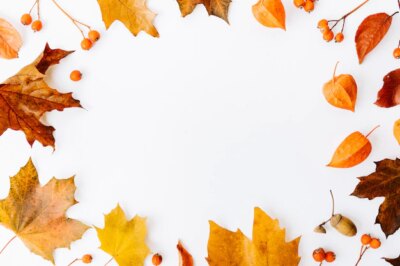 Free Photo | Autumn flat lay background on white