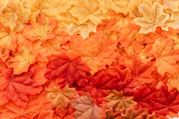 Free Photo | Flat lay of fall leaves surface