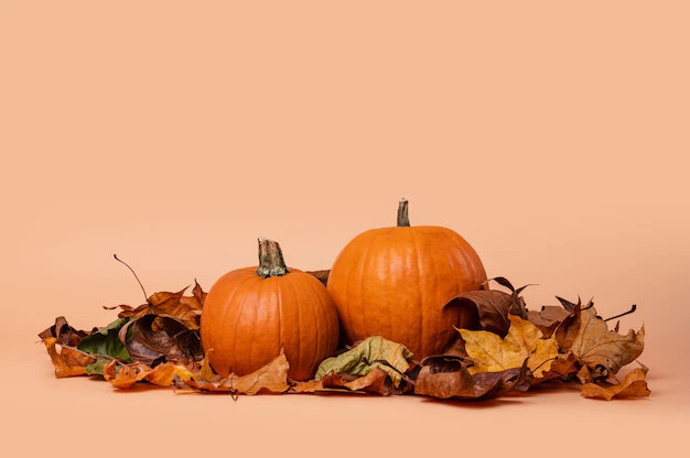 Free Photo | Pumpkins decorated with dry maple leaves