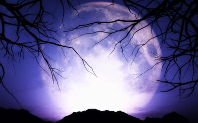 Free Photo | Purple full moon