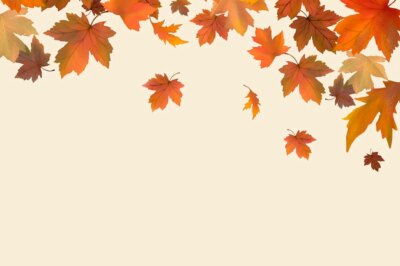 Free Photo | Red maple leaf framed background