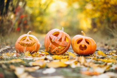 Free Photo | Three cute halloween pumpkins in autumn park