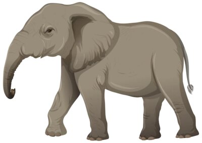 Free Vector | Adult elephant without ivory in cartoon style on white background