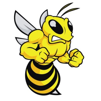 Free Vector | Angry bee design