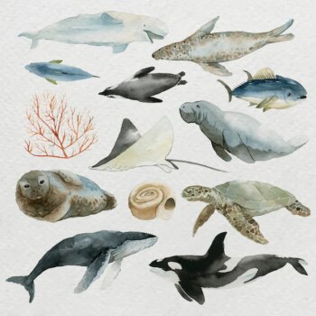 Free Vector | Animals from the sea in watercolor set vector