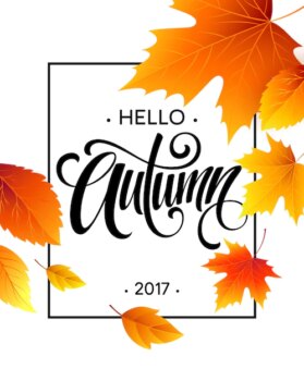 Free Vector | Autumn calligraphy. background of fall leaves. concept leaflet, flyer, poster advertising. vector illustration eps10