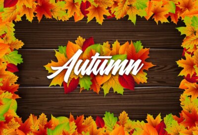 Free Vector | Autumn illustration with colorful leaves and chestnut and lettering on vintage wood background autum...