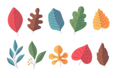 Free Vector | Autumn leaves collection